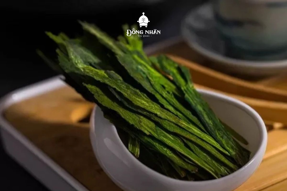 TRÀ THÁI BÌNH HẦU KHÔI - ĐẶC ĐIỂM VÀ CÔNG DỤNG